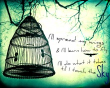 I'll spread my wings and i'll learn how to fly i'll do what it takes til' i touch the sky.jpg